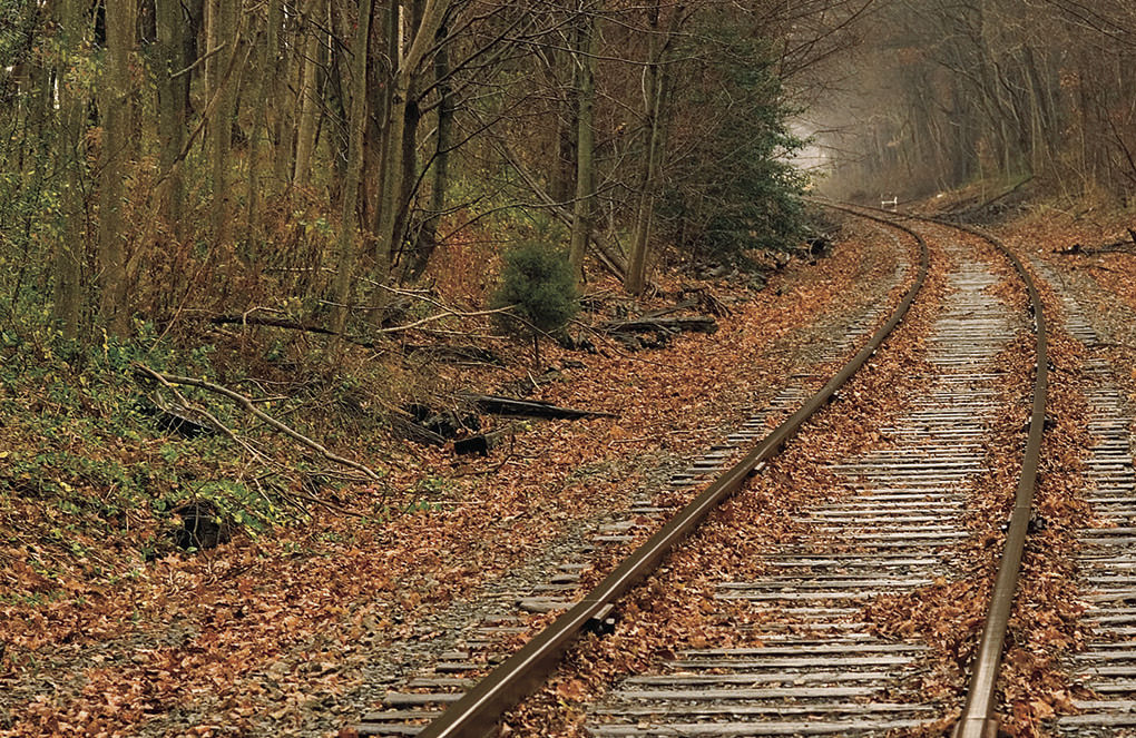 DON’T - Railroad tracks